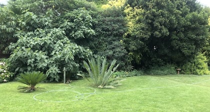 A Boutique Lodge Situated in a Serene Environment - 2029