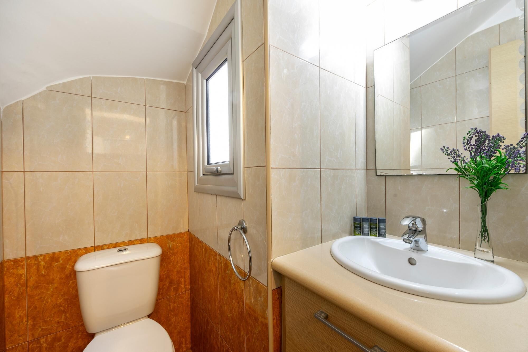 A bathroom with a toilet, sink, and mirror.