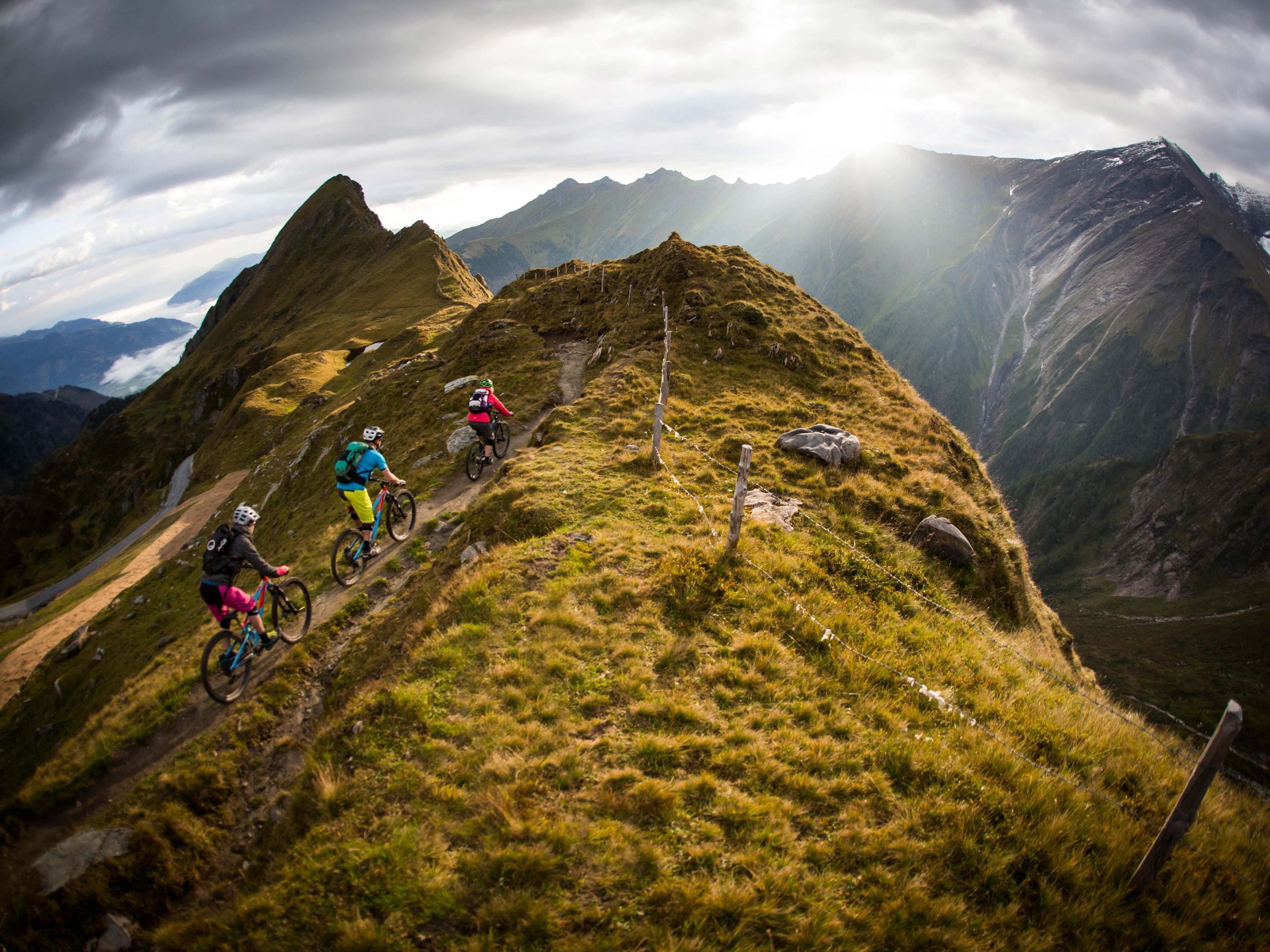 Ein Mountainbike-Weg mit drei Radfahrern.