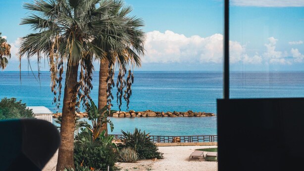 Vista de una playa con palmeras y un cielo azul despejado.