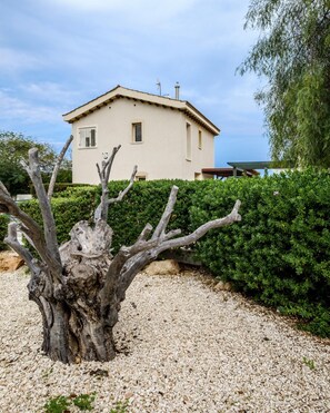House | 4 bedrooms - Protaras Artisan Seafront Villa 1 (Paralimni)