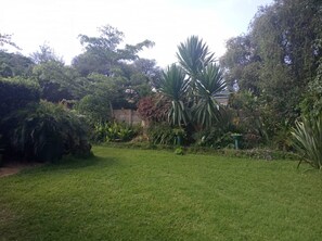 Apartamento | 2 quartos