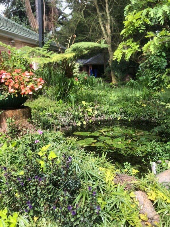 Room - African Feel Studio With Kitchenette - 2045 (Harare)