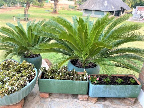 Twin Room in Hillside - 2087