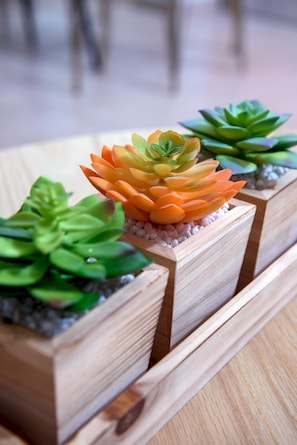 Trois jardinières en bois contenant des plantes succulentes, posées sur une table en bois.