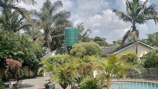 Un espace piscine doté d’une terrasse carrelée, entouré de différentes plantes en pot et de palmiers.