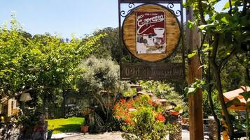 Apartment | 1 bedroom