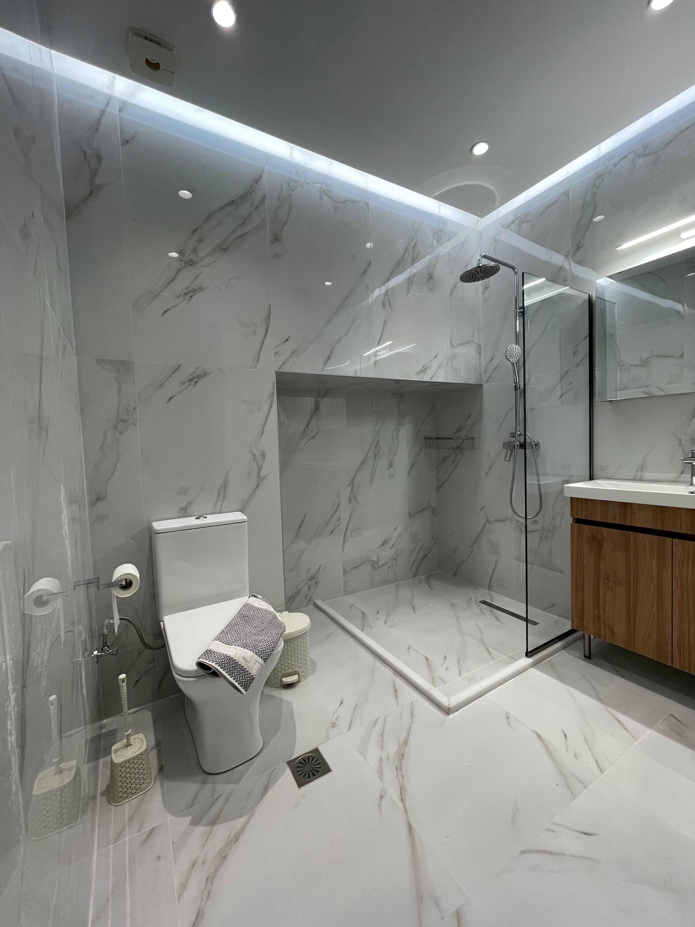 A modern bathroom with a glass-enclosed shower, a toilet, and a wooden vanity.