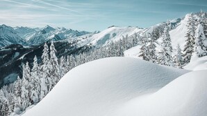 A snowy mountain landscape with snow-covered trees and distant peaks. - FP Appartements - Penthouse (Kaprun)