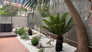 A landscaped outdoor area with a palm tree, a small fern, and a variety of shrubs. - Home to Stay by Homie (Funchal)