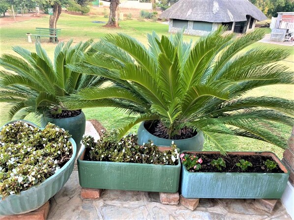 Lejlighed | 1 soveværelse