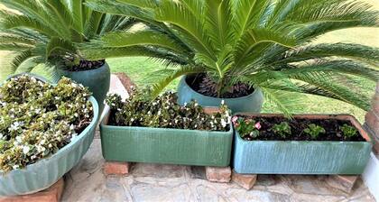 Neat Standard Room in Guesthouse - 2088