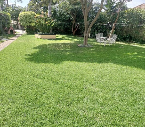 A well-maintained grassy yard with a white chair, a small tree, and a garden bed with plants.
