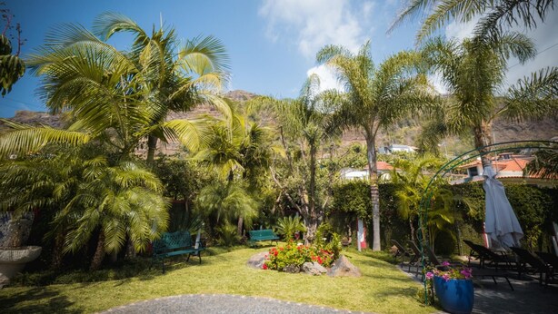 Un jardin tropical agrémenté de palmiers, un sentier en pierre et des espaces de détente en plein air.