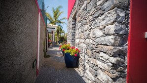 Une ruelle étroite, bordée d’un côté par un mur de pierre et de l’autre par un immeuble avec une porte rouge. Des plantes en pot, ornées de fleurs rouges, sont disposées le long du chemin.