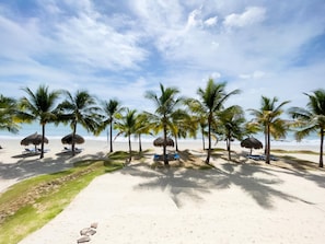A beach with palm trees, lounge chairs, and thatched umbrellas. - Olas del mar 1B in Chame (Punta Chame)