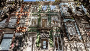 1 habitación 