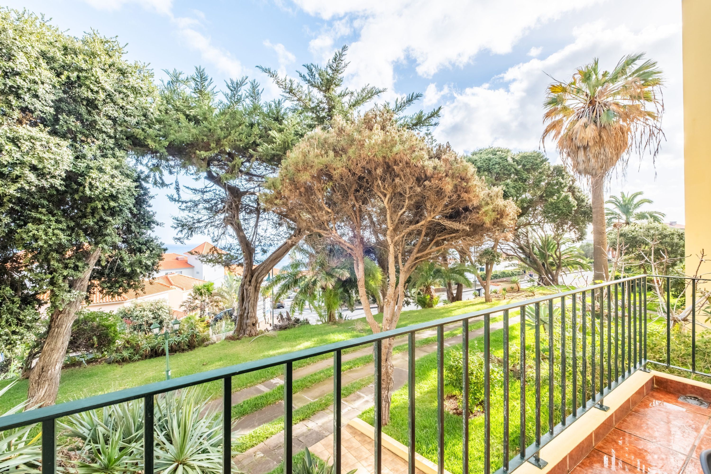 A balcony with a green railing overlooking a garden with various trees and a palm tree.