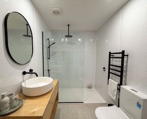 Shower, eco-friendly toiletries, hair dryer, towels