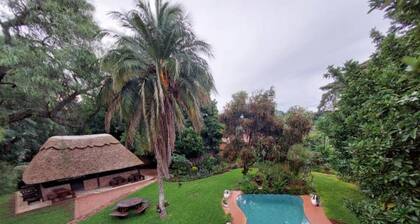 Modern House With Pool in Mount Pleasant - 2063