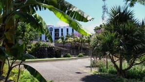 A paved pathway leading to a building with a modern architectural style, surrounded by lush greenery and tropical plants. - MIO Apartment by Homie (Funchal)