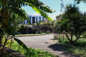 Apartment, Smoking | 1 bedroom - MIO Apartment by Homie (Funchal)