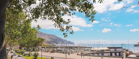 Una marina con barcos amarrados, una carretera con vehículos y montañas al fondo.