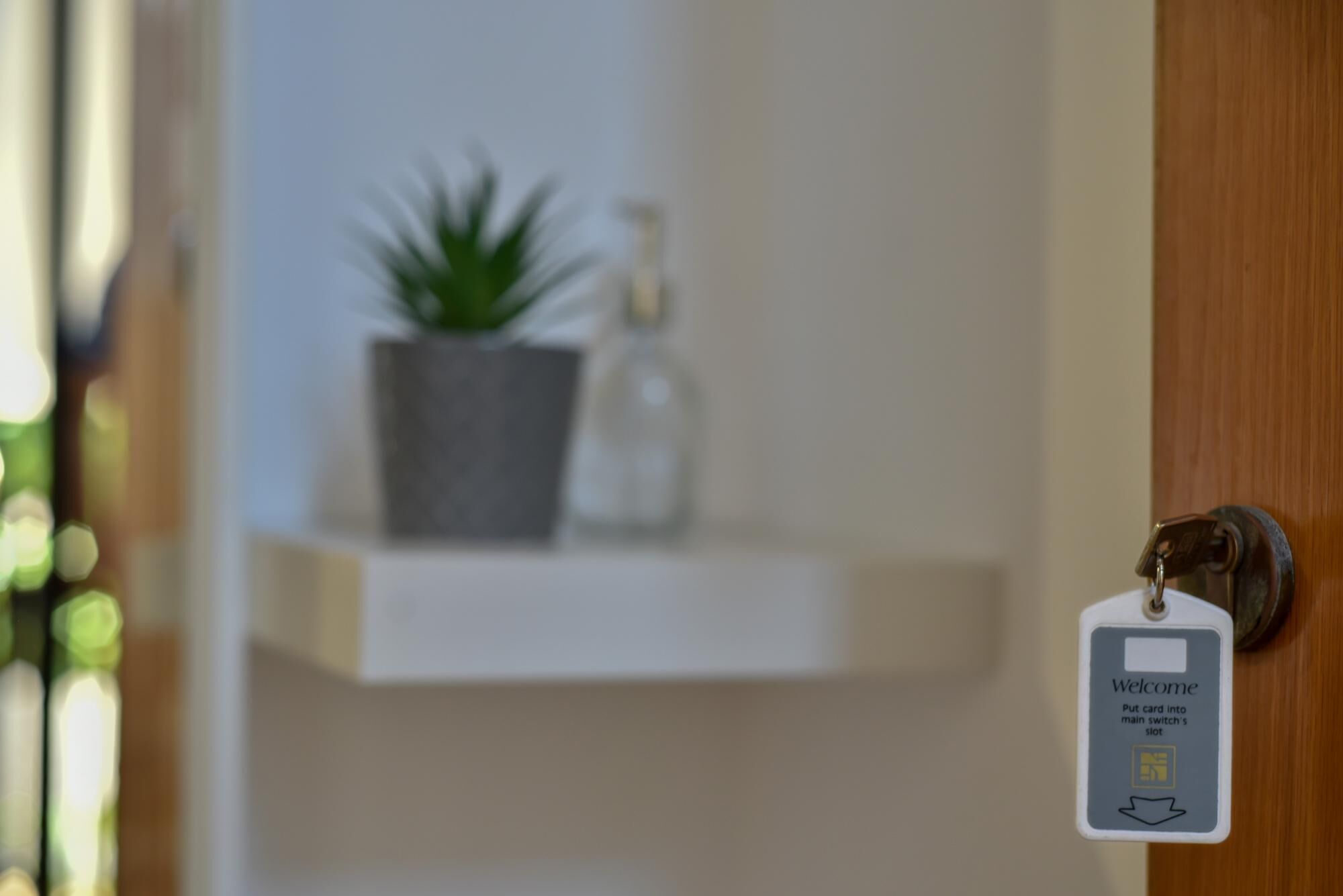A door with a card reader for card entry, a potted plant, and a small shelf with a bottle.
