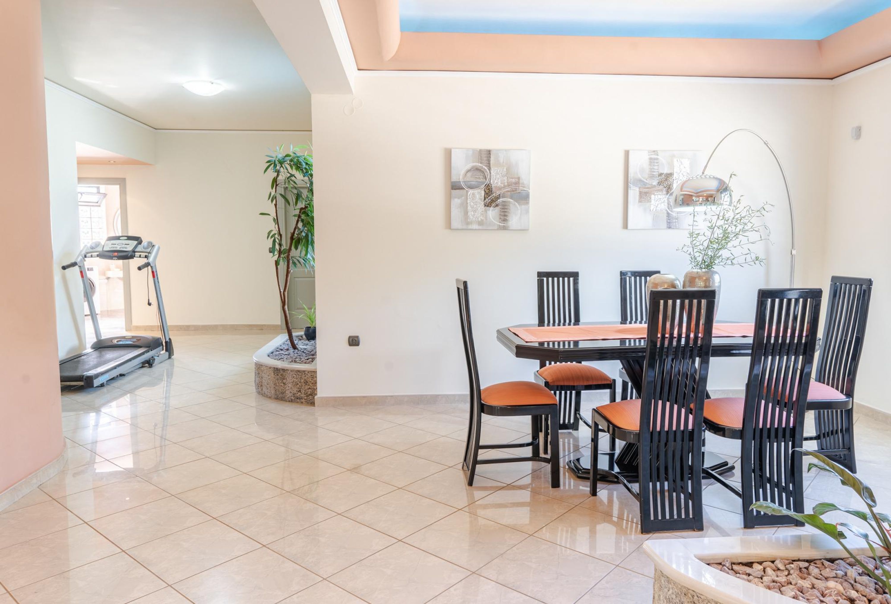 A spacious room with a dining area, a treadmill, and a potted plant.