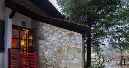 Dandy On The Hill Agoriani Chalet Orelia Up to 4 People