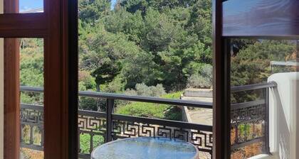 Nikos Apartments A3 in Gialiskari