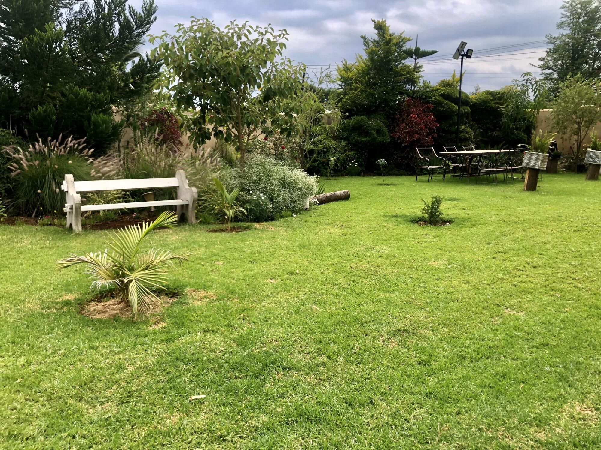 Un jardín bien cuidado con un banco de madera, varios arbustos y una pequeña palmera.