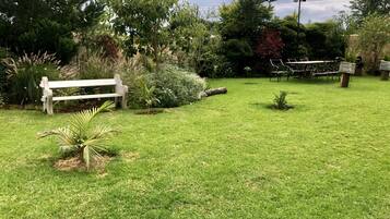 Un jardín bien cuidado con un banco de madera, varios arbustos y una pequeña palmera.