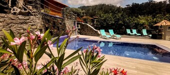 Casas Maravilha - O Ninho by Madeira Sun Travel