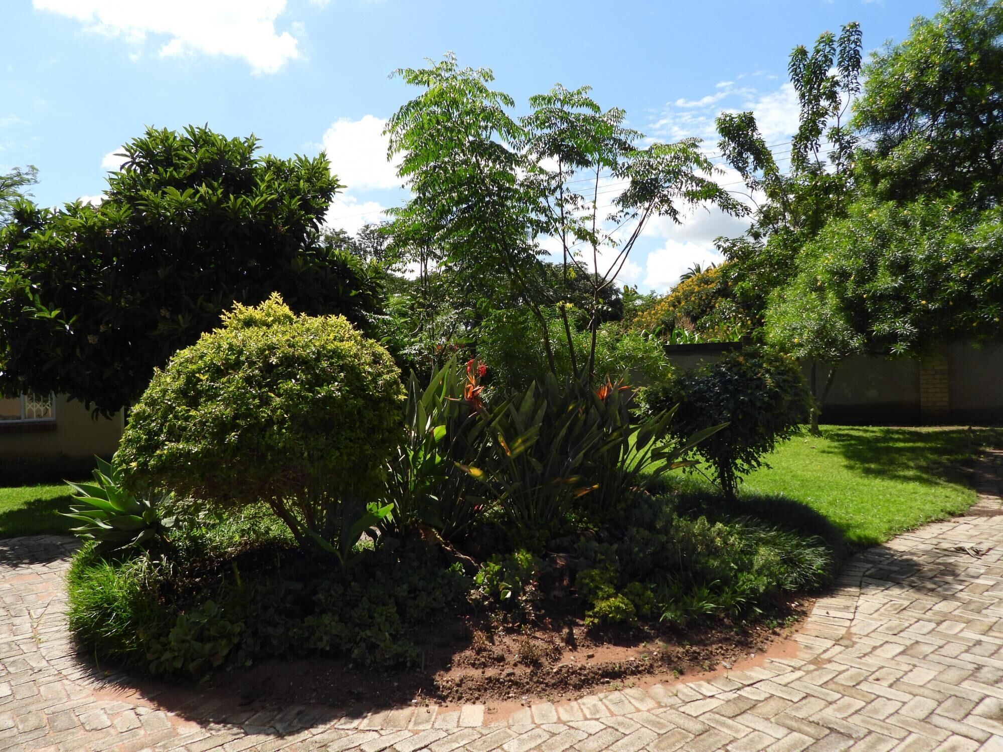 Un jardin avec différentes sortes de plantes et un chemin bordé de briques.