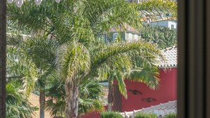 Vista attraverso una finestra su un cortile con palme, un muro rosso e un tetto in tegole.