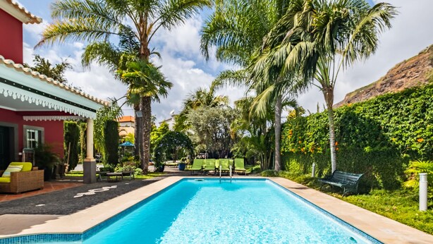 Una piscina con lettini e palme.