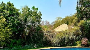 Unclassified image, 2 of 26, button - A Boutique Lodge Situated in a Serene Environment - 2030 (Harare)