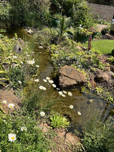 A Boutique Lodge Situated in a Serene Environment - 2030