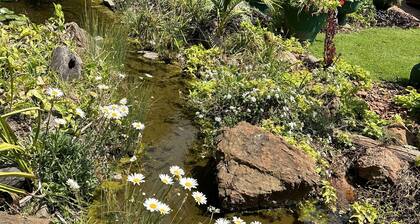 A Boutique Lodge Situated in a Serene Environment - 2030