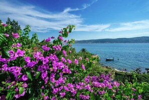 Apartment | 4 bedrooms