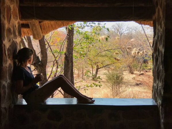Room - Bungalow 2 on This World Renowned Eco Site 40 Minutes From Vic Falls Fully Catered Stay - 1982 (Victoria Falls)