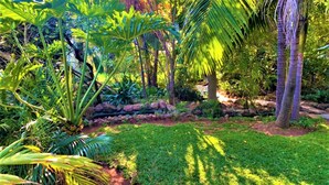 A lush garden with various tropical plants, a well-maintained lawn, and a stone pathway. - Cozy 3 Bedroom House With Unique Bathrooms - 2084 (Bulawayo)