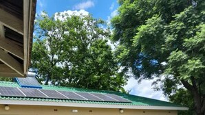 Een laag gebouw met een groen dak en zonnepanelen.