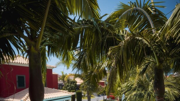 Une piscine entourée de chaises longues et de palmiers, le tout bordé d’un bâtiment à la façade rouge.