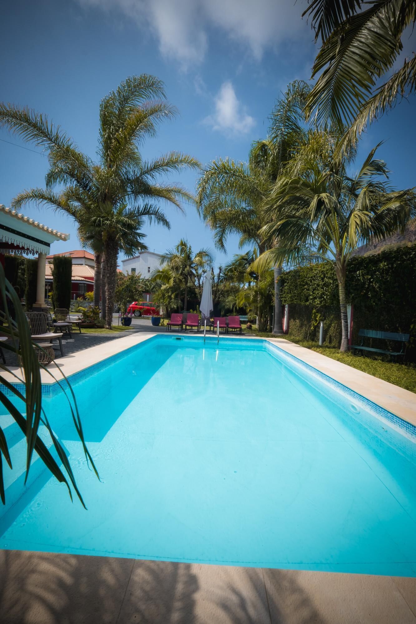 Una piscina rectangular con agua azul cristalina, rodeada de palmeras y sillas de descanso.