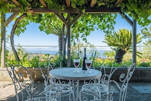 A round table with metal chairs under a pergola with green vines, overlooking a scenic view.