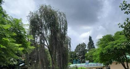 Executive Apartment With 2 Beds Kitchenette - 2072