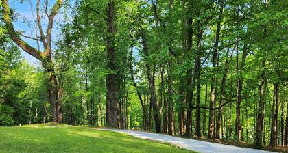 Downtown Helen House on 4 acres adjoining Unicoi State Park. Hikers Paradise!!!