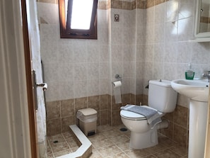 A small bathroom with a toilet, sink, and shower.